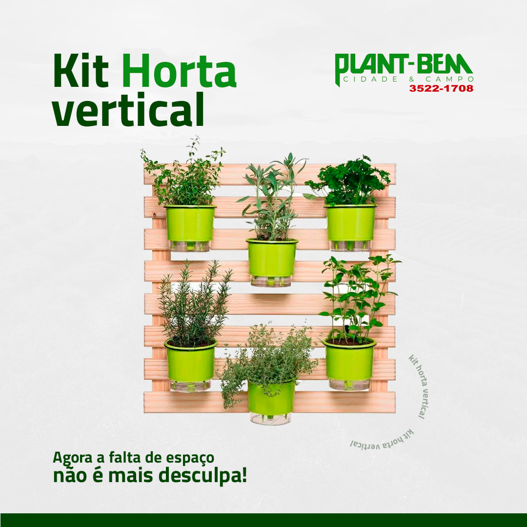 Cultivar uma horta é sinônimo de saúde! Afinal, você garante hortaliças completamente livre de agrotóxicos.